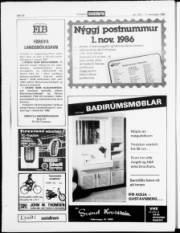 Síða 20
