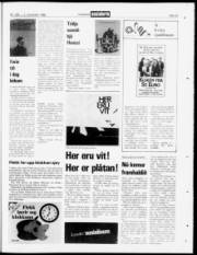 Síða 23