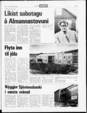 Síða 3