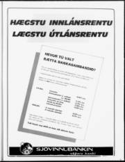 Síða 13