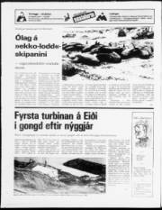 Síða 20