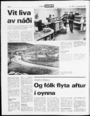 Síða 2