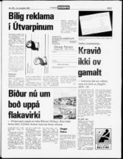 Síða 5