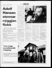 Síða 12