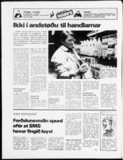 Síða 19