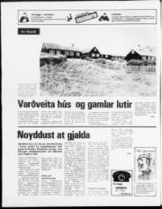 Síða 24