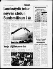 Síða 3