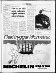 Síða 15