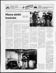 Síða 24