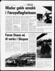 Síða 3