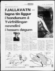 Síða 8