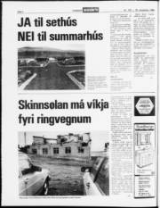 Síða 2