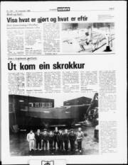 Síða 5