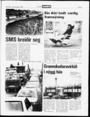 Síða 21