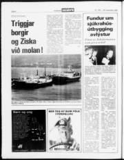 Síða 4