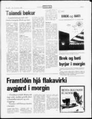 Síða 5