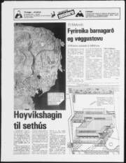 Síða 24