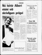 Síða 5