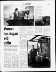 Síða 3