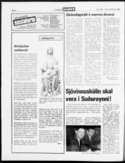Síða 6