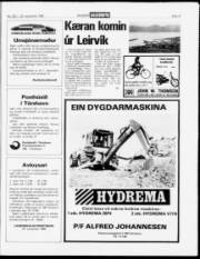 Síða 15