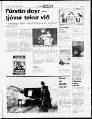 Síða 23