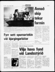 Síða 3