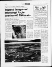 Síða 16