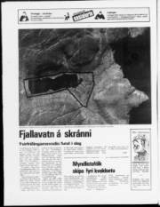 Síða 24