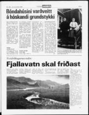 Síða 3