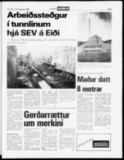 Síða 5