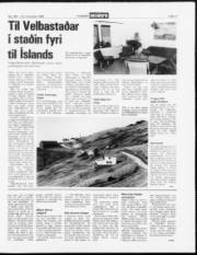 Síða 11