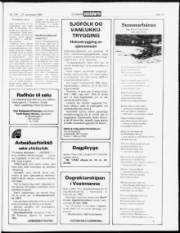 Síða 17