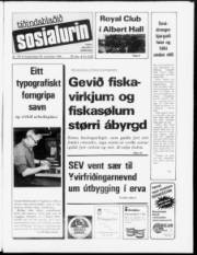 Síða 1