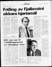 Síða 4