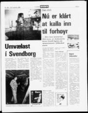 Síða 5