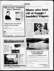 Síða 21