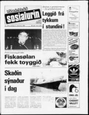 Síða 1