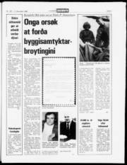 Síða 3