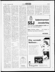 Síða 15