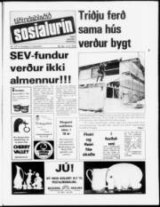 Síða 1