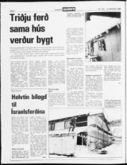 Síða 2