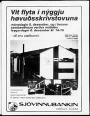Síða 3