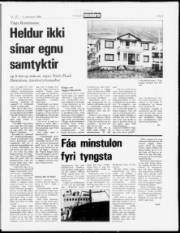Síða 9