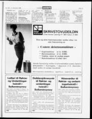 Síða 15