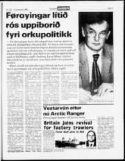 Síða 17