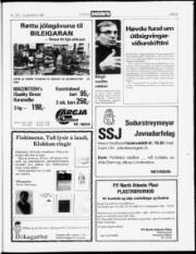 Síða 21