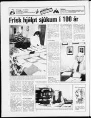 Síða 24