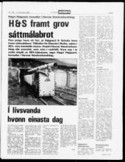 Síða 3