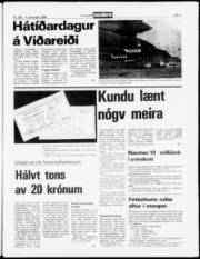 Síða 5